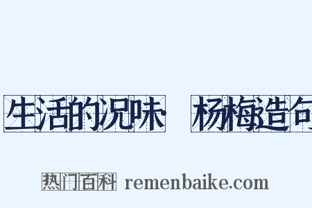 生活的况味·杨梅造句是什么意思的图片